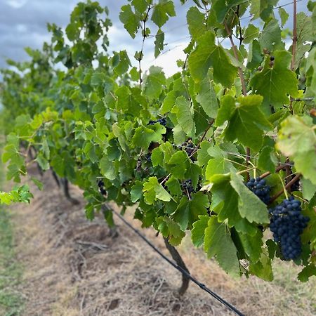 Bracken Ridge Vineyard The Entire Estate Rothbury Exterior foto