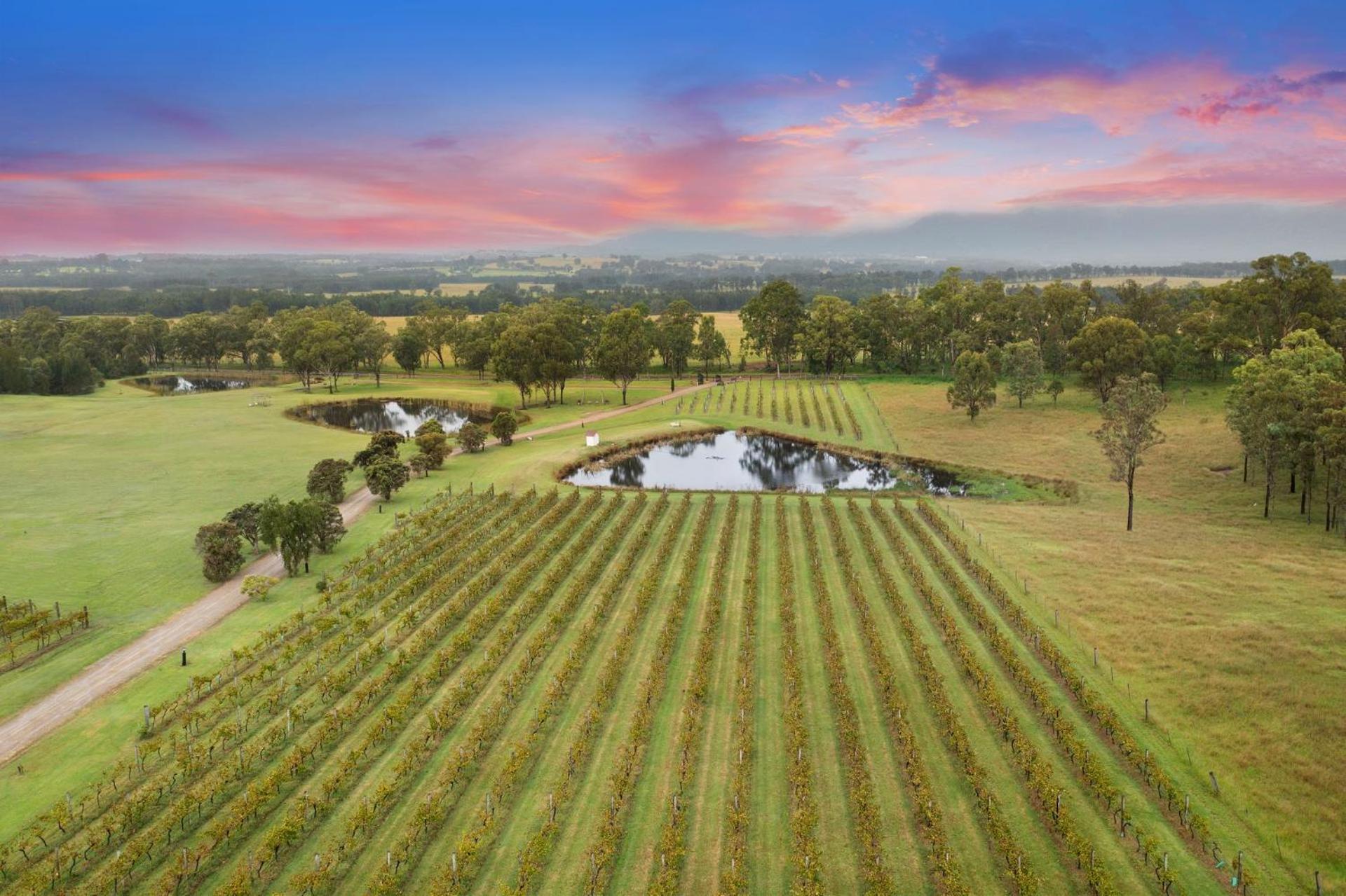 Bracken Ridge Vineyard The Entire Estate Rothbury Exterior foto