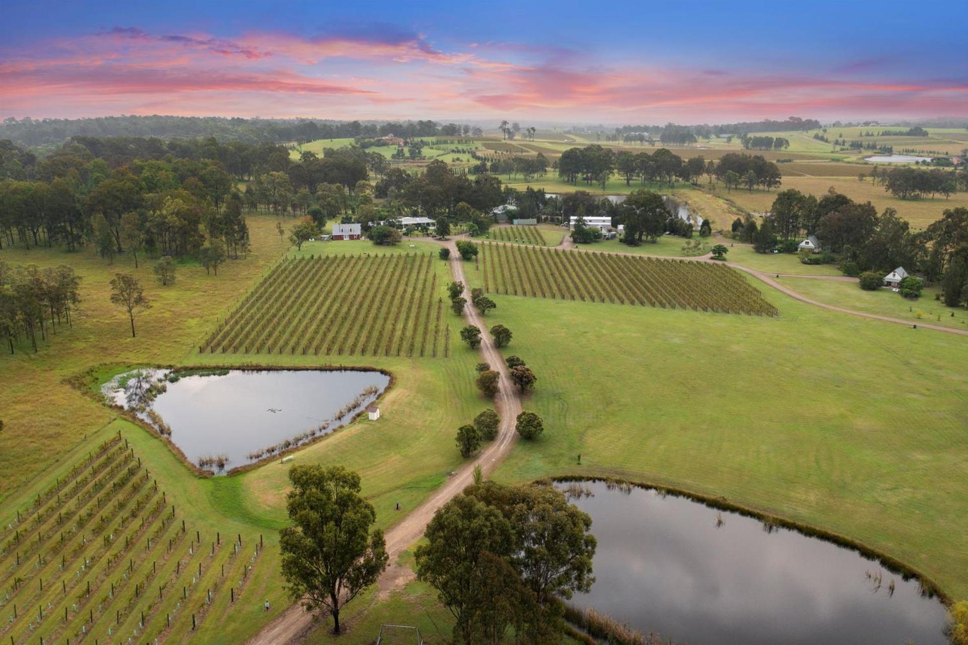 Bracken Ridge Vineyard The Entire Estate Rothbury Exterior foto